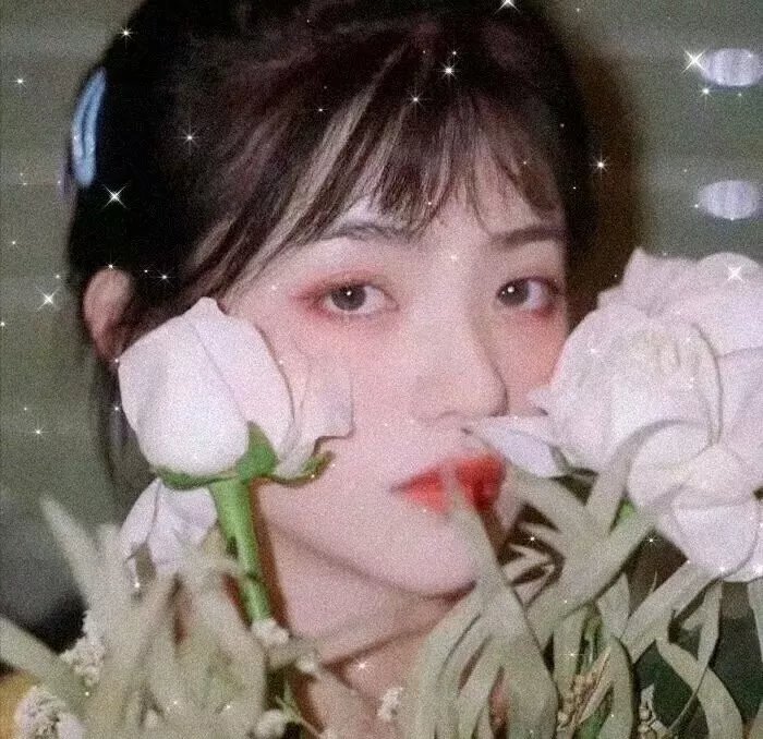 欲望法则